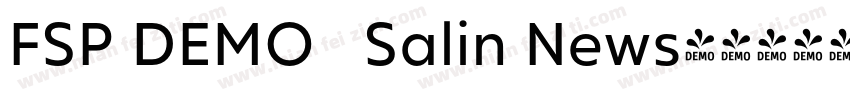 FSP DEMO   Salin News字体转换